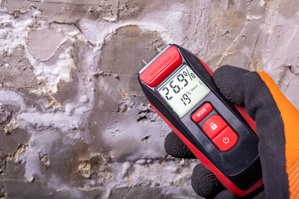 Mold Removal Process in Prospect, PA