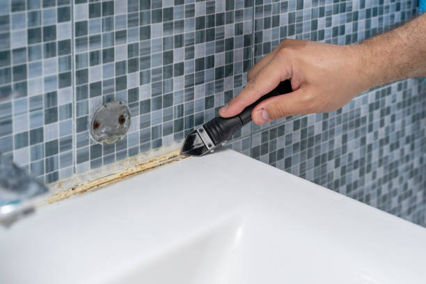 Best Office Mold Removal Services  in Prospect, PA