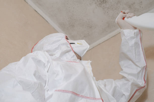 Best Office Mold Removal Services  in Prospect, PA